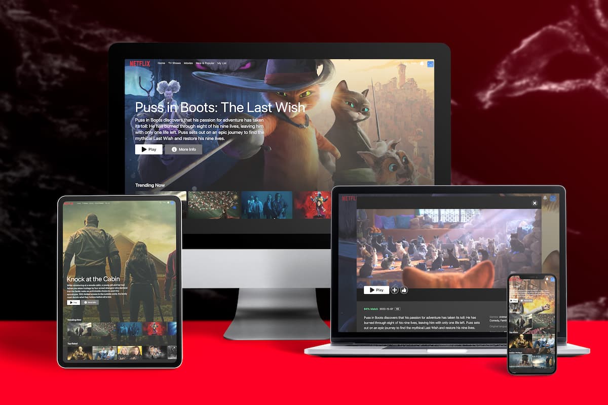 Picture showcasing my project - Netflix Redesign